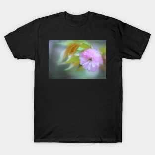 Pink Blossom #2 T-Shirt